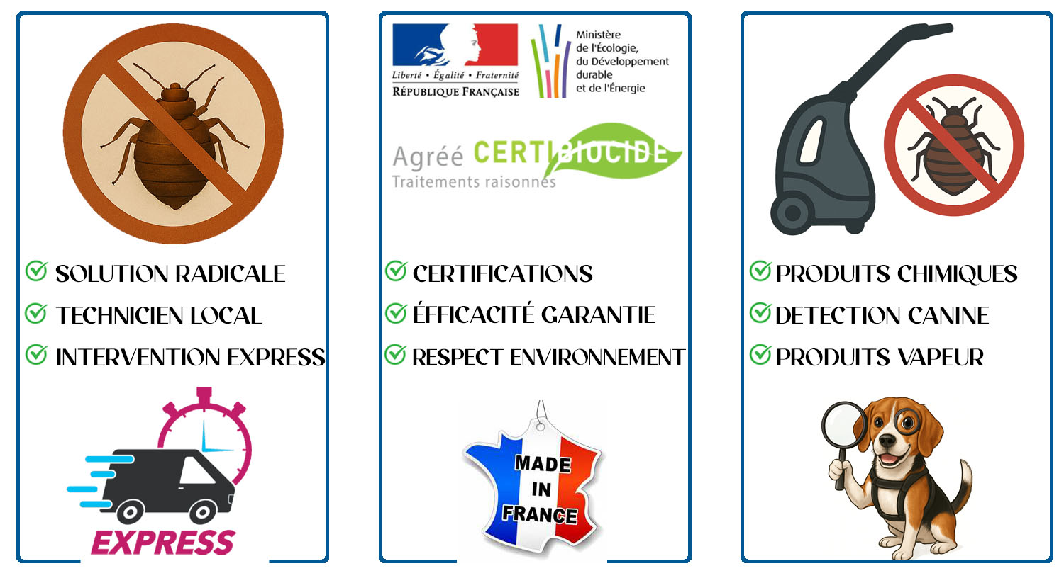 Punaises de Lit Saint Mande